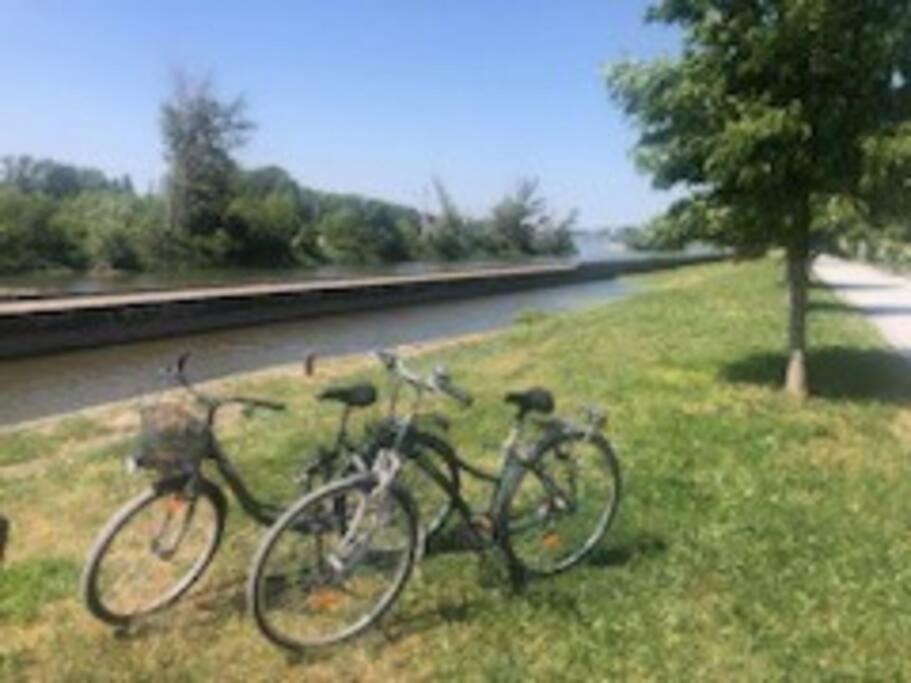 דירות Le Domremy F2 Au Coeur D'אורליאן מראה חיצוני תמונה